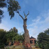 portfolio-image