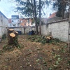 portfolio-image