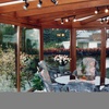 portfolio-image