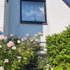 portfolio-image