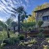 portfolio-image
