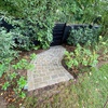 portfolio-image