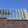 portfolio-image