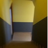 portfolio-image