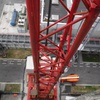 portfolio-image