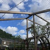 portfolio-image