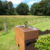 portfolio-image