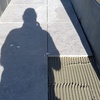 portfolio-image