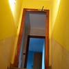 portfolio-image