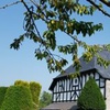portfolio-image