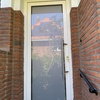 portfolio-image