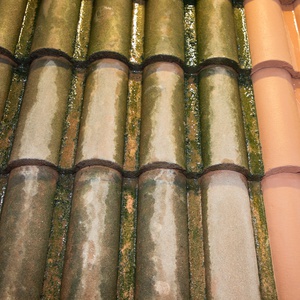 Entreprise de démoussage