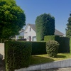 portfolio-image