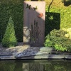 portfolio-image