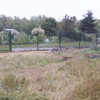 portfolio-image
