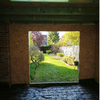 portfolio-image