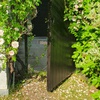 portfolio-image