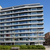 portfolio-image
