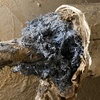 portfolio-image