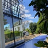portfolio-image