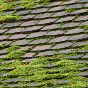 Comment démousser le toit de sa maison ?