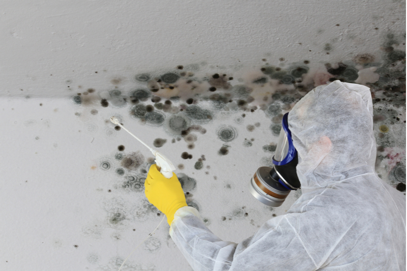 Comment puis-je éviter l'humidité dans ma maison?