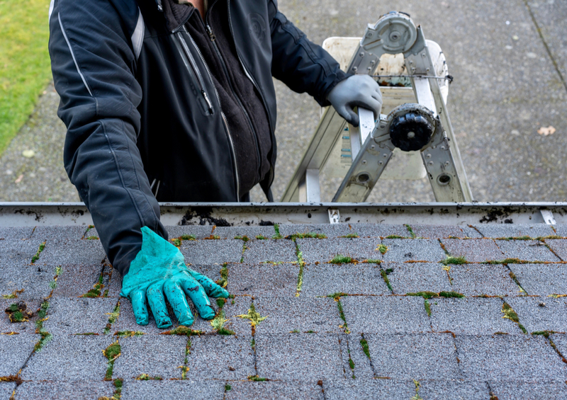Quand réaliser son démoussage de toiture ?