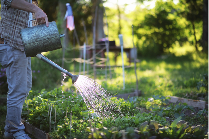 Quand faut-il arroser notre jardin ?
