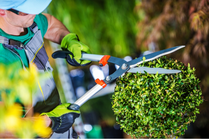 Quand avez-vous besoin d'un jardinier ?