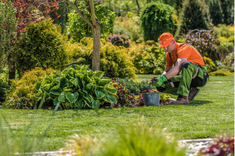 Y'a-t-il une différence entre un paysagiste et un jardinier ?