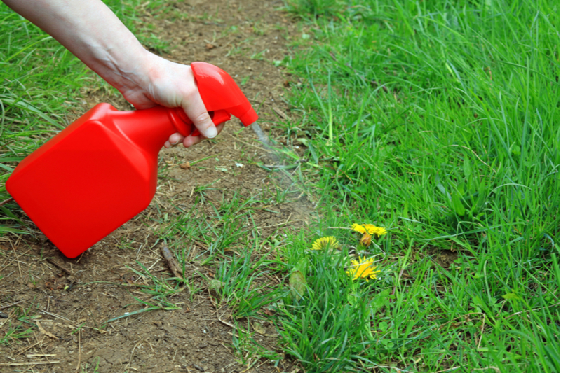 Getting Rid of Weeds: Our Top Tips 8 desherbage
