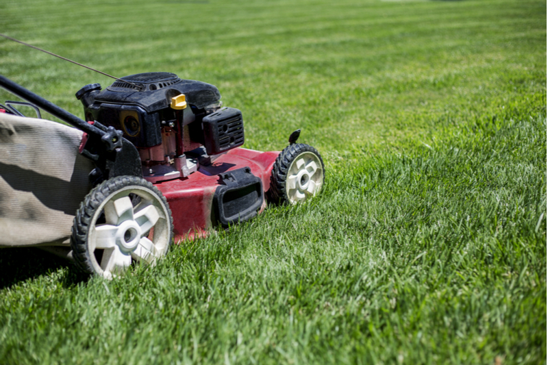 Getting Rid of Weeds: Our Top Tips 7 tondre